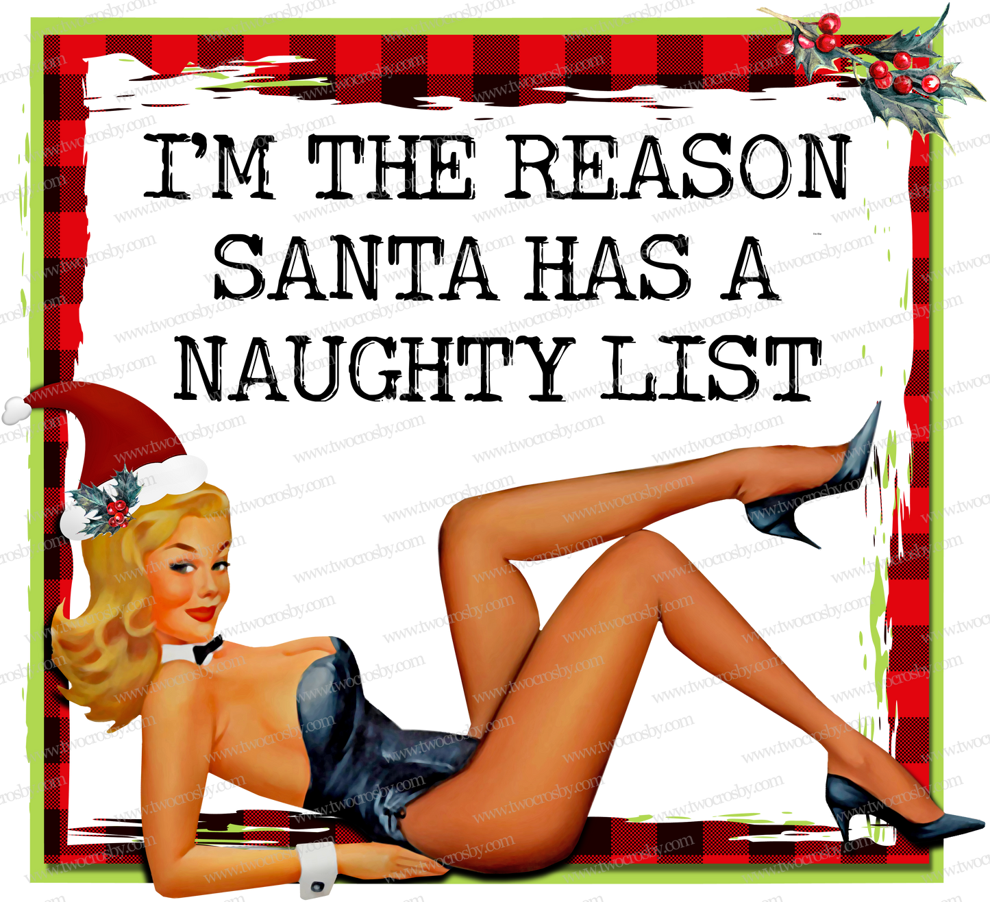 I’m The Reason Santa Has A Naughty List/Christmas/Sublimation Transfer